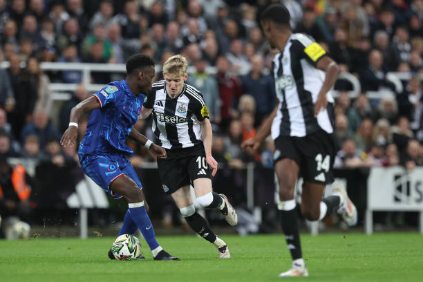 了文體不分 了文體不分