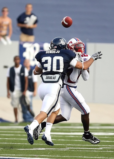 虽然后续表 虽然后续表