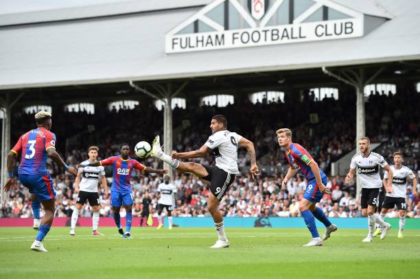 馆早已成为 馆早已成为